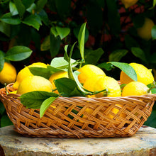 Load image into Gallery viewer, Lemon, Meyer - Improved