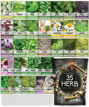 Load image into Gallery viewer, Popular Herb Seeds for Planting | 35 Variety Pack