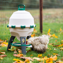 Load image into Gallery viewer, Optimus Poultry Drinker - 6 Gallon