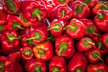 Load image into Gallery viewer, Pepper, Marconi Red