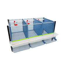 Load image into Gallery viewer, Partridge Cage - 2 Layer