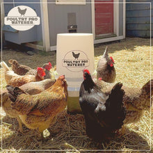 Load image into Gallery viewer, Poultry Pro Waterer