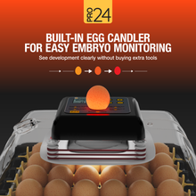 Load image into Gallery viewer, Pro24 Tabletop Automatic Egg Incubator (24 Eggs)