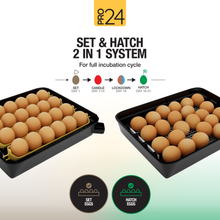 Load image into Gallery viewer, Pro24 Tabletop Automatic Egg Incubator (24 Eggs)