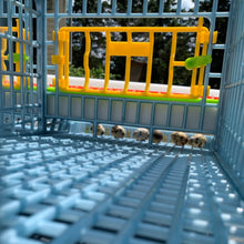 Load image into Gallery viewer, Quail Cage - 2 Layer