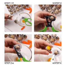 Load image into Gallery viewer, Quail Egg Scissors