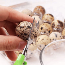 Load image into Gallery viewer, Quail Egg Scissors