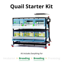 Load image into Gallery viewer, Quail Starter Kit