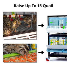 Load image into Gallery viewer, Quail Starter Kit