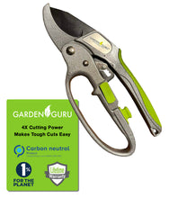 Load image into Gallery viewer, Professional Ratchet Garden Pruning Shears