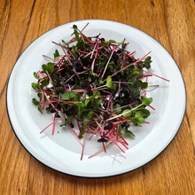 Load image into Gallery viewer, Radish Microgreens Seeds