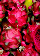 Load image into Gallery viewer, Dragon Fruit, Red Tricia