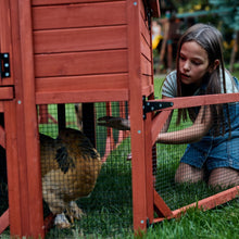 Load image into Gallery viewer, Chicken Coop for 10 Chickens – Rhode Island Homestead Coop with Run Extension Options