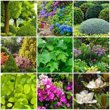 Load image into Gallery viewer, Fertilizer Spikes for Trees &amp; Shrubs