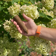 Load image into Gallery viewer, Fertilizer Spikes for Citrus &amp; Fruit Trees &amp; Shrubs