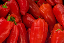 Load image into Gallery viewer, Pepper, Marconi Red