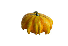 Load image into Gallery viewer, Gourd, Ten Commandments