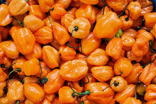 Load image into Gallery viewer, Pepper, Habanero Orange