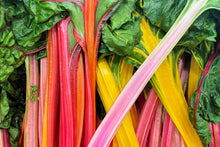 Load image into Gallery viewer, Swiss Chard, Northern Lights