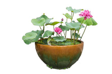 Load image into Gallery viewer, Lotus, Bowl