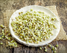 Load image into Gallery viewer, Lentil