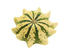 Load image into Gallery viewer, Gourd, Ten Commandments