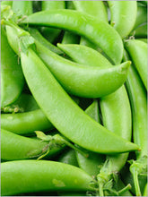 Load image into Gallery viewer, Peas, Sugar Snap