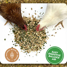 Load image into Gallery viewer, Digest &amp; Detox - Gut Health Blend-