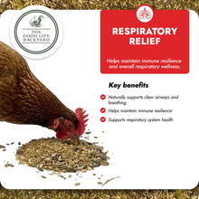 Load image into Gallery viewer, Respiratory Relief - Spice Blend