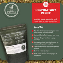 Load image into Gallery viewer, Respiratory Relief - Spice Blend