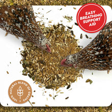 Load image into Gallery viewer, Respiratory Relief - Spice Blend