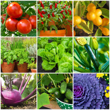 Load image into Gallery viewer, Tomato &amp; Vegetable Plant Food Mini Spikes