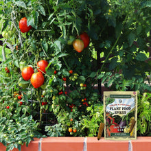 Load image into Gallery viewer, Tomato &amp; Vegetable Plant Food Mini Spikes