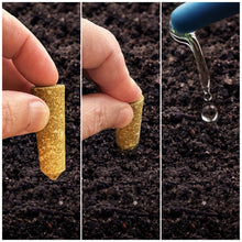 Load image into Gallery viewer, Tomato &amp; Vegetable Plant Food Mini Spikes