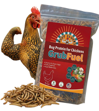Load image into Gallery viewer, GrubFuel - Black Soldier Fly Larvae for chickens