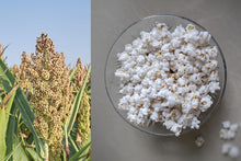 Load image into Gallery viewer, Sorghum, White Popping