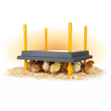 Load image into Gallery viewer, Warmzy Heating Plate (14" x 14") 25-30 chicks