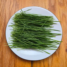 Load image into Gallery viewer, Wheatgrass Microgreens Seeds