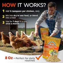Load image into Gallery viewer, WormStop – Natural Dewormer for Chickens