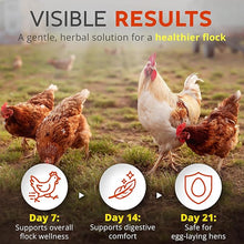 Load image into Gallery viewer, WormStop – Natural Dewormer for Chickens
