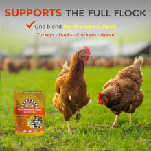 Load image into Gallery viewer, WormStop – Natural Dewormer for Chickens
