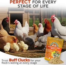 Load image into Gallery viewer, WormStop – Natural Dewormer for Chickens