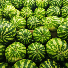 Load image into Gallery viewer, Watermelon, All Sweet