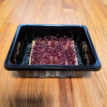 Load image into Gallery viewer, Amaranth Microgreens Seeds