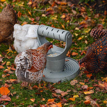 Load image into Gallery viewer, Backyard Chicken Feed Tower – Promotes Exercise and Mental Stimulation