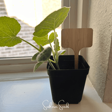 Load image into Gallery viewer, Bamboo Plant Markers – 5 Count
