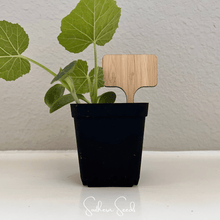 Load image into Gallery viewer, Bamboo Plant Markers – 5 Count