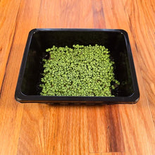 Load image into Gallery viewer, Basil Lemon Microgreens Seeds