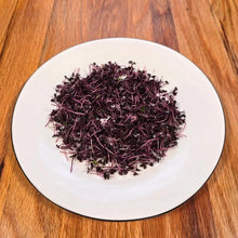 Load image into Gallery viewer, Basil Red Rubin Microgreens Seeds