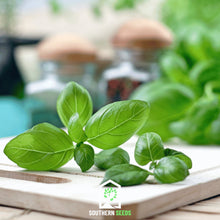 Load image into Gallery viewer, Basil, Sweet